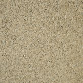 黃金麻荔枝面小花中黃